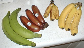 Banano