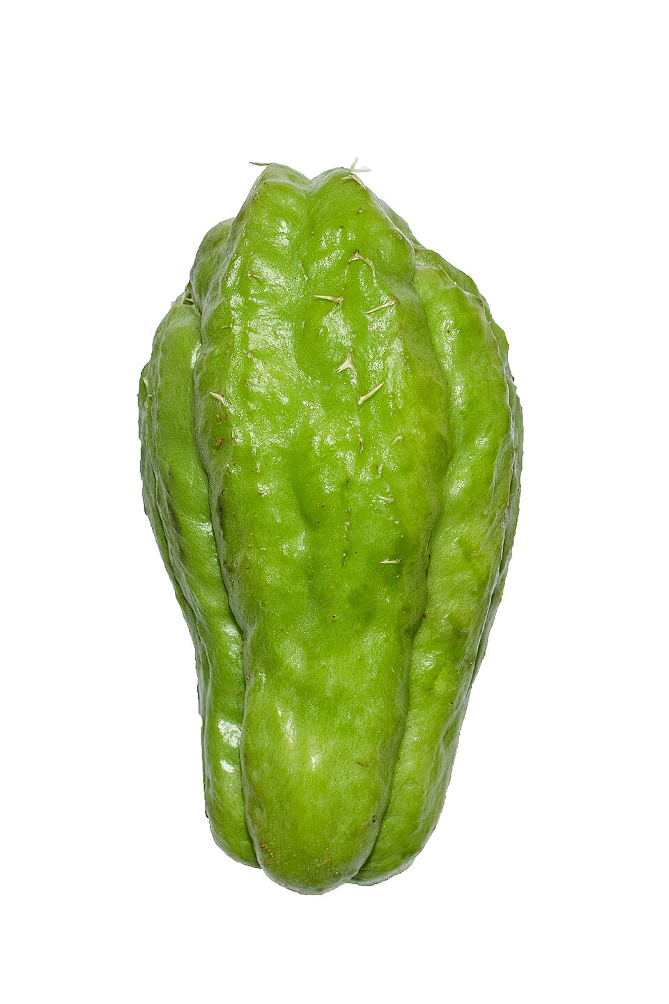 Sidra