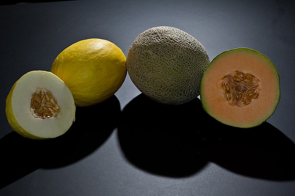 Melón