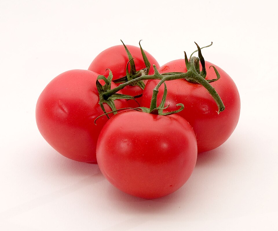 Tomate Chonto